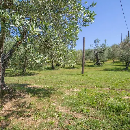 Filettro Lantgård Volterra