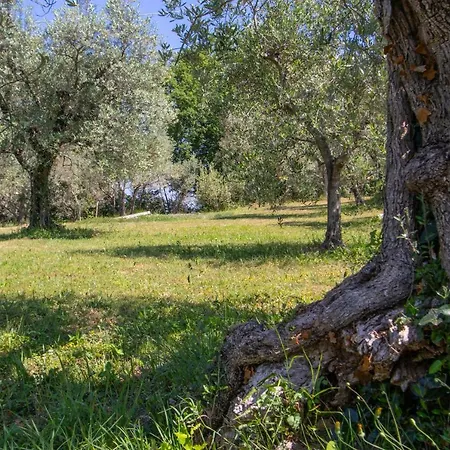 Filettro
